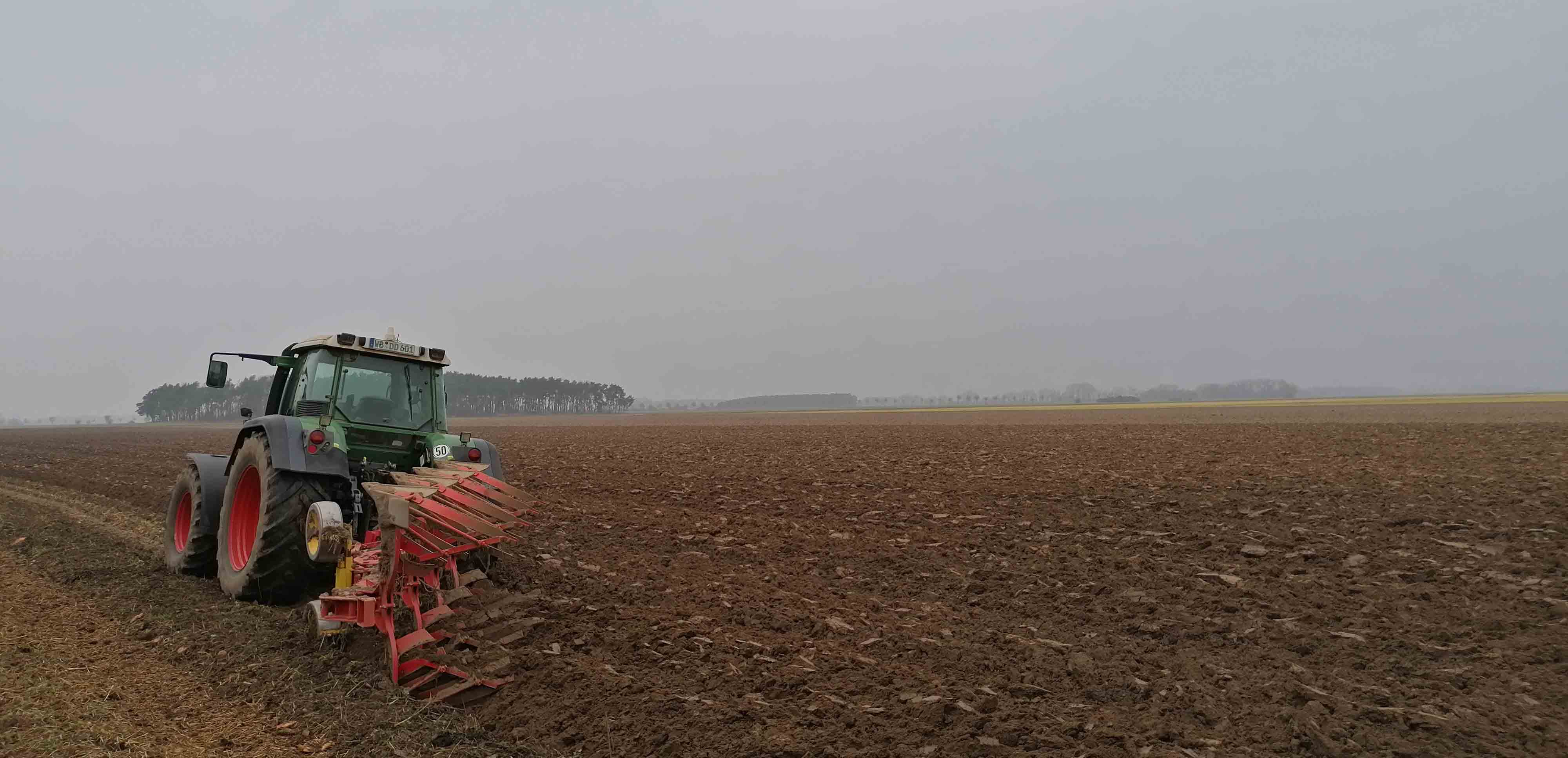 Pflgen im Herbst