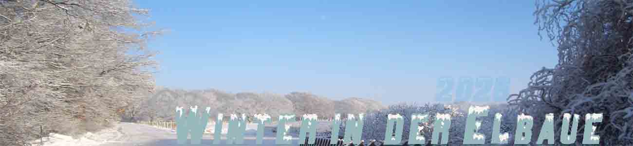 Winter in der Elbaue21