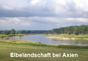 Elbelandschaft